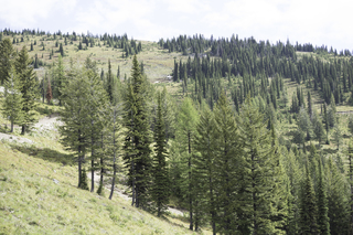 Filename=DSC_8799.jpg
Filesize=26233KiB
Dimensions=7360x4912
Date added=Sep 21, 2019 DSC_8799.jpg