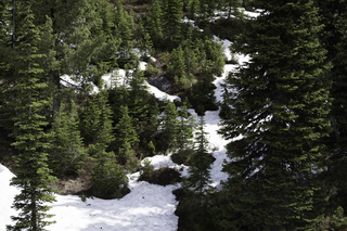 Filename=DSC_8806.jpg
Filesize=20465KiB
Dimensions=7360x4912
Date added=Sep 21, 2019 DSC_8806.jpg