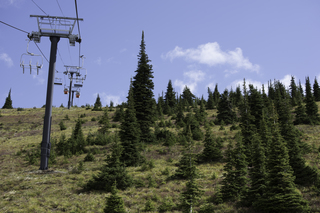 Filename=DSC_8807.jpg
Filesize=21010KiB
Dimensions=7360x4912
Date added=Sep 21, 2019 DSC_8807.jpg