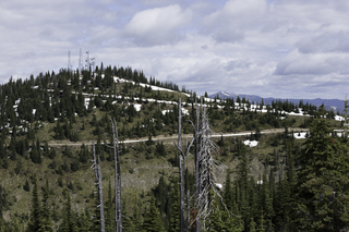 Filename=DSC_8810.jpg
Filesize=21257KiB
Dimensions=7360x4912
Date added=Sep 21, 2019 DSC_8810.jpg