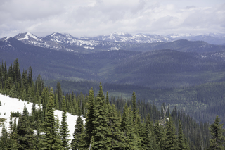 Filename=DSC_8819.jpg
Filesize=20241KiB
Dimensions=7360x4912
Date added=Sep 21, 2019 DSC_8819.jpg