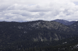 Filename=DSC_8821.jpg
Filesize=14689KiB
Dimensions=7360x4912
Date added=Sep 21, 2019 DSC_8821.jpg