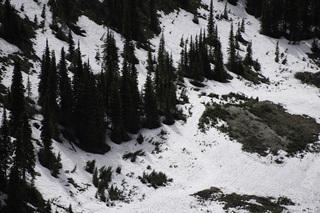 Filename=DSC_8828.jpg
Filesize=17583KiB
Dimensions=7360x4912
Date added=Sep 21, 2019 DSC_8828.jpg