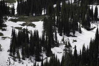 Filename=DSC_8841.jpg
Filesize=19869KiB
Dimensions=7360x4912
Date added=Sep 21, 2019 DSC_8841.jpg