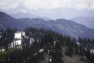 Filename=DSC_8844.jpg
Filesize=16830KiB
Dimensions=7360x4912
Date added=Sep 21, 2019 DSC_8844.jpg