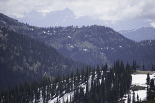 Filename=DSC_8846.jpg
Filesize=16346KiB
Dimensions=7360x4912
Date added=Sep 21, 2019 DSC_8846.jpg