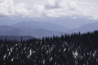 Filename=DSC_8847.jpg
Filesize=14467KiB
Dimensions=7360x4912
Date added=Sep 21, 2019 DSC_8847.jpg