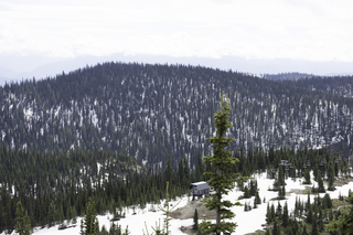 Filename=DSC_8848.jpg
Filesize=16822KiB
Dimensions=7360x4912
Date added=Sep 21, 2019 DSC_8848.jpg