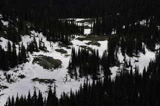 Filename=DSC_8858.jpg
Filesize=17324KiB
Dimensions=7360x4912
Date added=Sep 21, 2019 DSC_8858.jpg