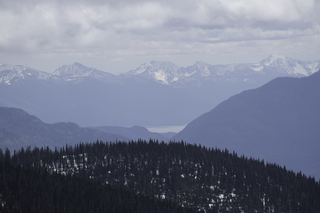 Filename=DSC_8859.jpg
Filesize=13546KiB
Dimensions=7360x4912
Date added=Sep 21, 2019 DSC_8859.jpg