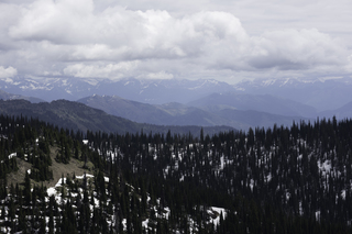 Filename=DSC_8864.jpg
Filesize=14970KiB
Dimensions=7360x4912
Date added=Sep 21, 2019 DSC_8864.jpg