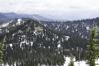 Filename=DSC_8869.jpg
Filesize=20899KiB
Dimensions=7360x4912
Date added=Sep 21, 2019 DSC_8869.jpg