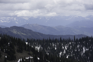 Filename=DSC_8871.jpg
Filesize=15686KiB
Dimensions=7360x4912
Date added=Sep 21, 2019 DSC_8871.jpg