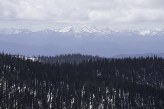 Filename=DSC_8877.jpg
Filesize=15498KiB
Dimensions=7360x4912
Date added=Sep 21, 2019 DSC_8877.jpg