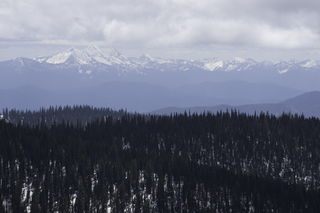 Filename=DSC_8878.jpg
Filesize=14709KiB
Dimensions=7360x4912
Date added=Sep 21, 2019 DSC_8878.jpg