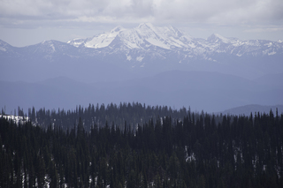 Filename=DSC_8879.jpg
Filesize=13853KiB
Dimensions=7360x4912
Date added=Sep 21, 2019 DSC_8879.jpg