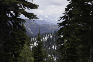 Filename=DSC_8880.jpg
Filesize=11908KiB
Dimensions=7360x4912
Date added=Sep 21, 2019 DSC_8880.jpg