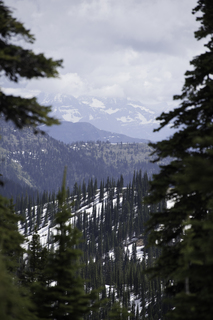 Filename=DSC_8881.jpg
Filesize=13656KiB
Dimensions=4912x7360
Date added=Sep 21, 2019 DSC_8881.jpg