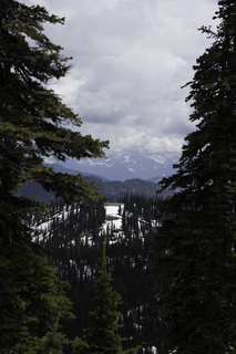 Filename=DSC_8885.jpg
Filesize=11313KiB
Dimensions=4912x7360
Date added=Sep 21, 2019 DSC_8885.jpg