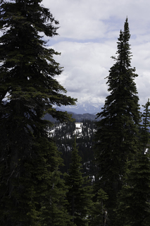 Filename=DSC_8886.jpg
Filesize=12175KiB
Dimensions=4912x7360
Date added=Sep 21, 2019 DSC_8886.jpg