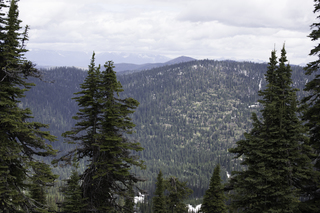 Filename=DSC_8889.jpg
Filesize=17291KiB
Dimensions=7360x4912
Date added=Sep 21, 2019 DSC_8889.jpg