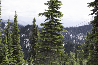 Filename=DSC_8891.jpg
Filesize=17493KiB
Dimensions=7360x4912
Date added=Sep 21, 2019 DSC_8891.jpg