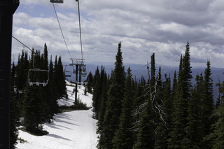 Filename=DSC_8897.jpg
Filesize=14967KiB
Dimensions=7360x4912
Date added=Sep 21, 2019 DSC_8897.jpg