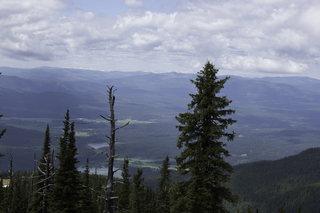 Filename=DSC_8899.jpg
Filesize=15789KiB
Dimensions=7360x4912
Date added=Sep 21, 2019 DSC_8899.jpg