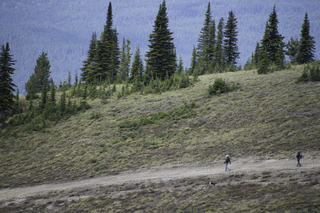 Filename=DSC_8918.jpg
Filesize=24841KiB
Dimensions=7360x4912
Date added=Sep 21, 2019 DSC_8918.jpg