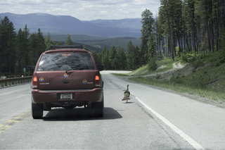 Filename=DSC_8966.jpg
Filesize=17125KiB
Dimensions=7360x4912
Date added=Sep 21, 2019 DSC_8966.jpg