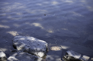 Filename=DSC_8992.jpg
Filesize=16574KiB
Dimensions=7360x4912
Date added=Sep 21, 2019 DSC_8992.jpg