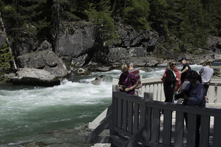 Filename=DSC_9024.jpg
Filesize=20780KiB
Dimensions=7360x4912
Date added=Sep 21, 2019 DSC_9024.jpg