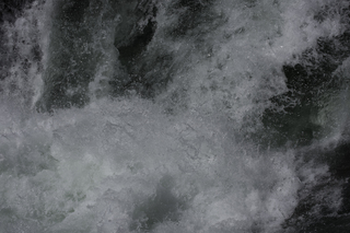 Filename=DSC_9028.jpg
Filesize=19708KiB
Dimensions=7360x4912
Date added=Sep 21, 2019 DSC_9028.jpg