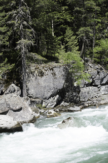 Filename=DSC_9045.jpg
Filesize=25211KiB
Dimensions=4912x7360
Date added=Sep 21, 2019 DSC_9045.jpg