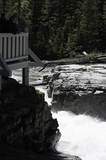 Filename=DSC_9049.jpg
Filesize=14273KiB
Dimensions=4912x7360
Date added=Sep 21, 2019 DSC_9049.jpg