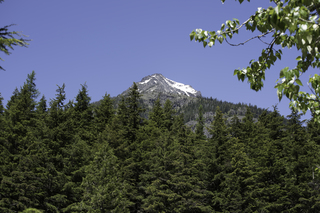 Filename=DSC_9067.jpg
Filesize=23562KiB
Dimensions=7360x4912
Date added=Sep 21, 2019 DSC_9067.jpg