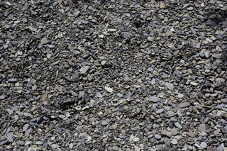 Filename=DSC_9070.jpg
Filesize=23801KiB
Dimensions=7360x4912
Date added=Sep 21, 2019 DSC_9070.jpg