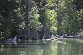 Filename=DSC_9077.jpg
Filesize=28080KiB
Dimensions=7360x4912
Date added=Sep 21, 2019 DSC_9077.jpg