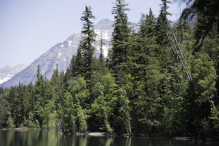 Filename=DSC_9087.jpg
Filesize=24664KiB
Dimensions=7360x4912
Date added=Sep 21, 2019 DSC_9087.jpg