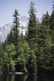 Filename=DSC_9095.jpg
Filesize=22876KiB
Dimensions=4912x7360
Date added=Sep 21, 2019 DSC_9095.jpg