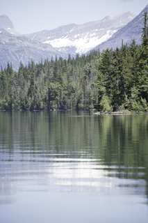 Filename=DSC_9103.jpg
Filesize=19888KiB
Dimensions=4912x7360
Date added=Sep 21, 2019 DSC_9103.jpg