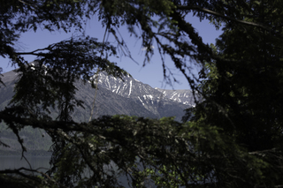 Filename=DSC_9108.jpg
Filesize=12788KiB
Dimensions=7360x4912
Date added=Sep 21, 2019 DSC_9108.jpg