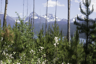 Filename=DSC_9109.jpg
Filesize=18307KiB
Dimensions=7360x4912
Date added=Sep 21, 2019 DSC_9109.jpg