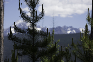 Filename=DSC_9111.jpg
Filesize=15186KiB
Dimensions=7360x4912
Date added=Sep 21, 2019 DSC_9111.jpg