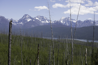 Filename=DSC_9114.jpg
Filesize=20517KiB
Dimensions=7360x4912
Date added=Sep 21, 2019 DSC_9114.jpg