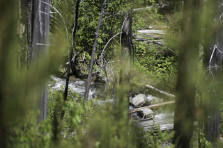 Filename=DSC_9116.jpg
Filesize=20318KiB
Dimensions=7360x4912
Date added=Sep 21, 2019 DSC_9116.jpg