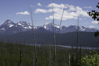 Filename=DSC_9120.jpg
Filesize=19689KiB
Dimensions=7360x4912
Date added=Sep 21, 2019 DSC_9120.jpg