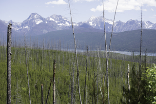 Filename=DSC_9121.jpg
Filesize=25142KiB
Dimensions=7360x4912
Date added=Sep 21, 2019 DSC_9121.jpg