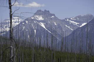 Filename=DSC_9122.jpg
Filesize=19678KiB
Dimensions=7360x4912
Date added=Sep 21, 2019 DSC_9122.jpg