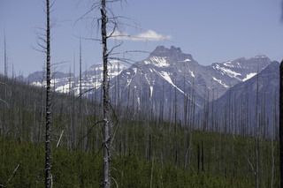 Filename=DSC_9123.jpg
Filesize=19151KiB
Dimensions=7360x4912
Date added=Sep 21, 2019 DSC_9123.jpg